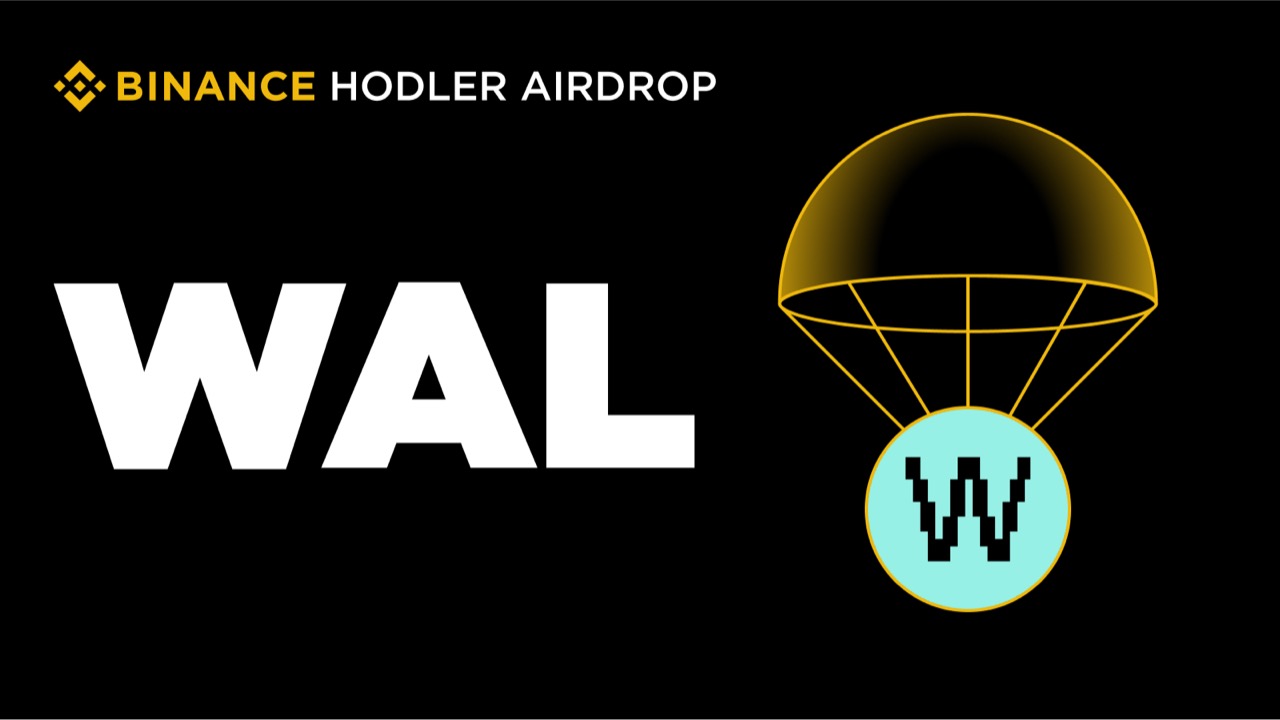 Walrus (WAL) - Giải pháp lưu trữ dữ liệu vĩnh viễn cho AI, NFT và Web3. Dự án thứ 50 trên Binance HODLer Airdrop